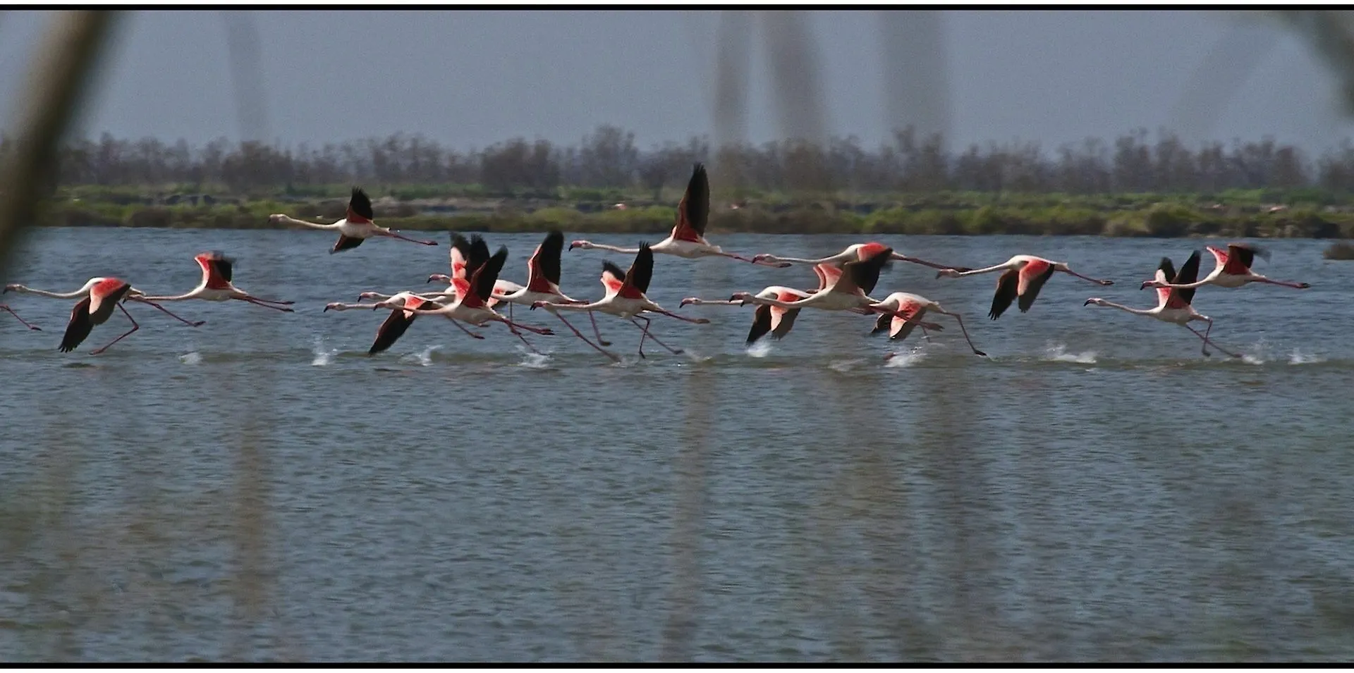 Vakantieboerderij Agriturismo La Barena Jesolo Italië